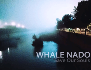 “Save Our Souls” es el nuevo single de Whale Nado 