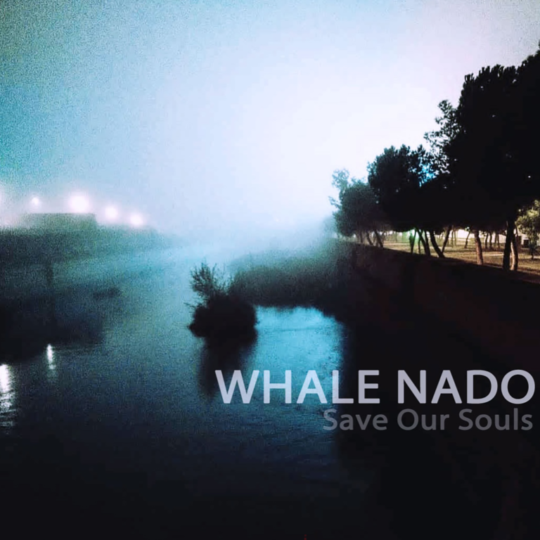 Portada plataformas Save Our Souls